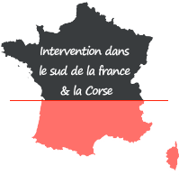 intervention reparation bornes incendie